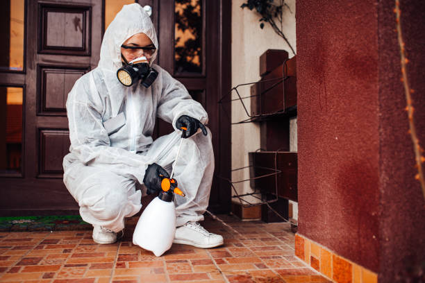 Reliable Cockroach Control contractor in Gunnison, UT by Nex Pest Control